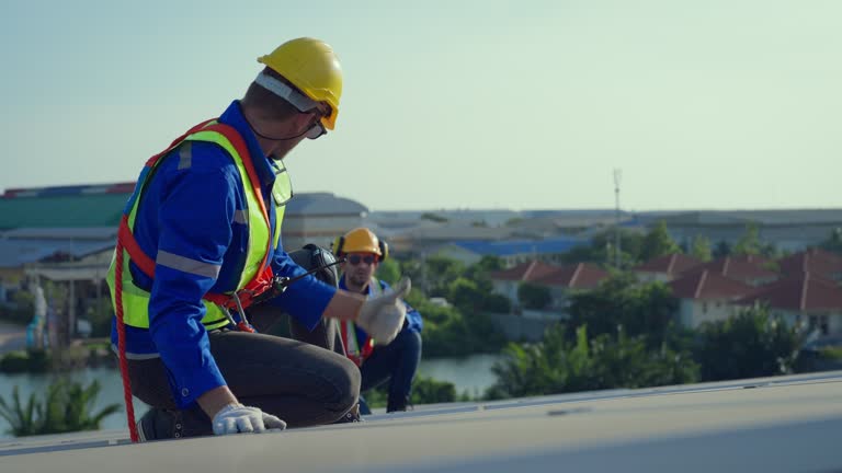 Best Skylights  in Bellflower, CA