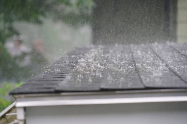 Best Roof Moss and Algae Removal  in Bellflower, CA
