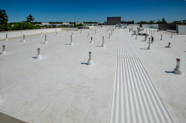 Best Steel Roofing  in Bellflower, CA